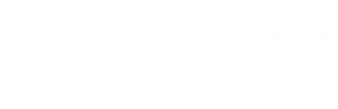 Visa Payment